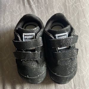 Infant puma steeple